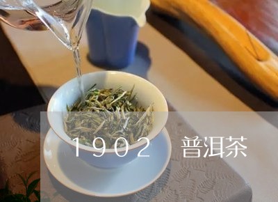 1902 普洱茶/2023031786262